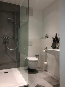 a bathroom with a toilet and a glass shower at Anderschitz Landhotel in Neufarn