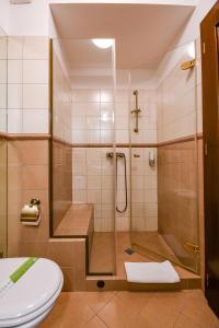 a bathroom with a shower and a toilet at Pensiunea Casa Nostalgia in Bran