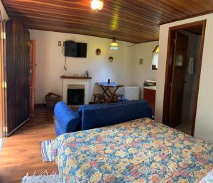 a living room with a blue couch and a tv at Chalés Lua de Mel in Monte Verde