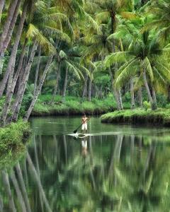 a person on a paddle board in the water with palm trees at Arrys Watukarung Surfcamp in Kalak
