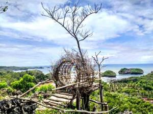 un árbol sentado en la cima de una colina cerca del océano en Arrys Watukarung Surfcamp en Kalak