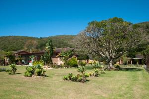 克尼斯纳Brenton Park Cottage 15的公园里有一棵树和一栋房子，远处是群山。