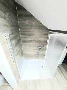 um chuveiro com uma porta de vidro num quarto em FMI44Apartment em Rüsselsheim