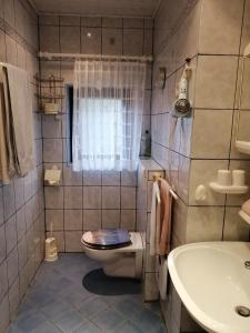 リッチャウにあるGästehaus Tropfのバスルーム(トイレ、洗面台付)