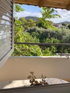 a window with a view of a garden at Thanos Studio in Artemida