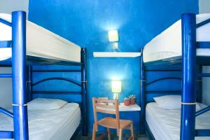 a bedroom with a bunk bed and a blue and white bedspread at Casa de Don Pablo Hostel in Oaxaca City