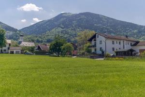a field of green grass with a mountain in the background at Ferienwohnung Landurlaub in Bad Feilnbach