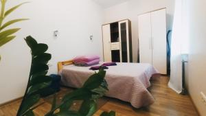 ドルスキニンカイにあるHeartHouse Apartmentsのベッドルーム1室(ベッド1台、植物付)
