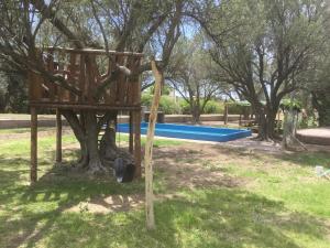 Πισίνα στο ή κοντά στο Tree House Hostel