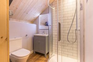 een badkamer met een douche, een toilet en een wastafel bij Kingston Estate in Staverton