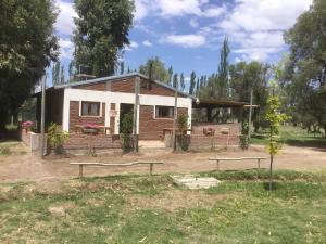 Κήπος έξω από το Tree House Hostel