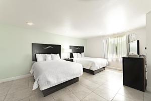 a white bedroom with two beds and a television at Everglades City Motel - Everglades Adventures Inn in Everglades City