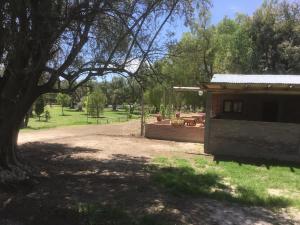 Κήπος έξω από το Tree House Hostel