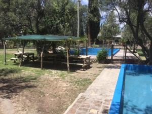 Πισίνα στο ή κοντά στο Tree House Hostel
