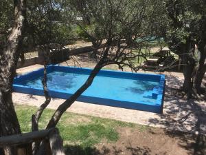 Πισίνα στο ή κοντά στο Tree House Hostel