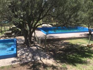 Πισίνα στο ή κοντά στο Tree House Hostel