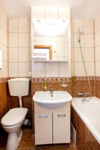 a bathroom with a toilet and a sink and a tub at Arcul de Triumf Residence in Bucharest