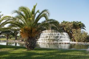 Gallery image of LES SOLEILLADES Parking 200 mètres plage in Marsillargues