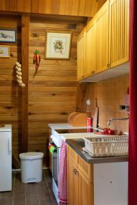 a small kitchen with wooden walls and a sink at Ethno Cottage "Biljana" in Zlatibor