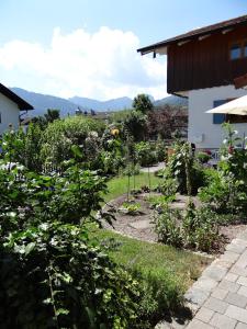 een tuin met bloemen en planten in een tuin bij Ferienwohnung Riepertinger in Bad Feilnbach