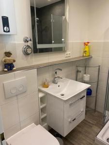 ein Badezimmer mit einem Waschbecken, einem WC und einem Spiegel in der Unterkunft Inselglück in Burgtiefe auf Fehmarn 