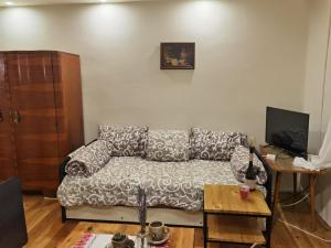 a living room with a couch and a television at Konak -Guest house -Ramonda Serbika in Niš