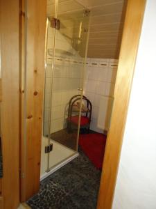 a bathroom with a glass shower in a room at Ferienwohnung Wingen in Bad Feilnbach
