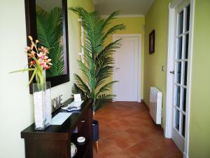 Afbeelding uit fotogalerij van Alojamientos Viveiro - El Escairo in Viveiro