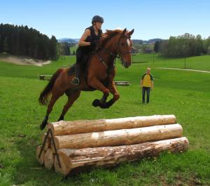 una mujer montando un caballo saltando sobre un tronco en Reiterhof Stöglehner, en Rainbach im Mühlkreis