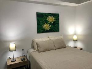 a bedroom with a bed with two lamps and a painting at ALTO DEL FONCE APTO 402F in San Gil