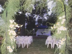 Κήπος έξω από το Tree House Hostel