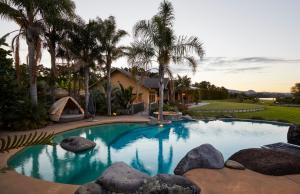 a swimming pool in a yard with palm trees at Belle Glamping by the Sea in Katikati