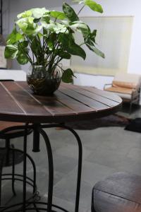 a plant in a glass vase on a wooden table at Casa com Quarto Simples a 4 KM do aeroporto de São José dos Pinhais in São José dos Pinhais
