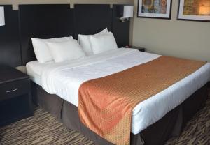 a large bed in a hotel room with a large bed sidx sidx sidx at Roosevelt Inn & Suites in Watford City