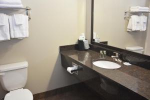 a bathroom with a sink and a toilet and a mirror at Roosevelt Inn & Suites in Watford City