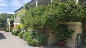 een gebouw met een bos planten aan de zijkant bij Loft on copley in Lenah Valley