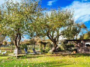Κήπος έξω από το Ferienhaus in Thorstorf mit Garten