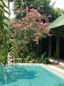 a swimming pool in front of a garden with pink flowers at Rumah Sawah in Yogyakarta