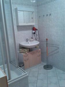 a bathroom with a sink and a shower at Ferienwohnung Fröhlich in Bad Suderode