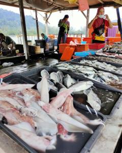 um monte de peixes em exposição num mercado de peixe em Kerteh Apartment em Kertih