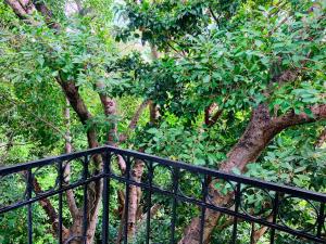 uma cerca preta em frente a algumas árvores em Villa Antilope em Cancún