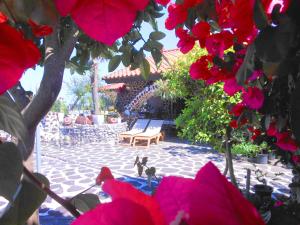 a garden with red flowers and a bench in the background at J-Garden in Ito