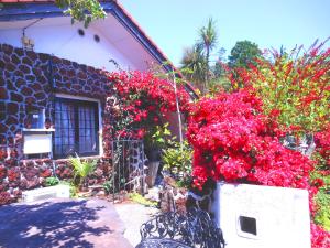 Jardí fora de J-Garden
