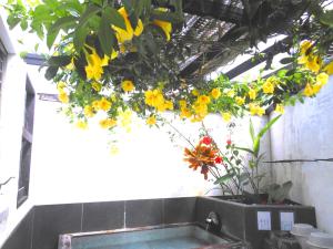 Foto de la galeria de J-Garden a Ito