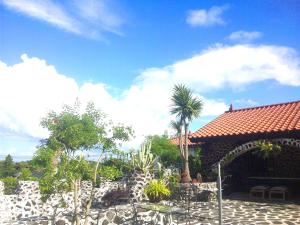 Jardí fora de J-Garden