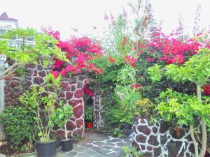 Jardí fora de J-Garden