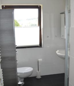 a bathroom with a toilet and a sink and a window at Ferienwohnung Nüdling in Hilders