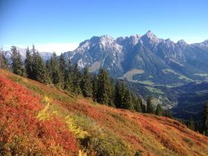 Paesaggio naturale nelle vicinanze dell'affittacamere