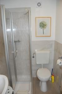 een badkamer met een toilet en een glazen douche bij Haus Barbara in Hilders