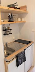 uma pequena cozinha com lavatório e prateleiras em Studio sous les pistes avec vue sur la vallée em La Bresse